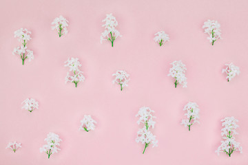 Pink background with white lilac flowers