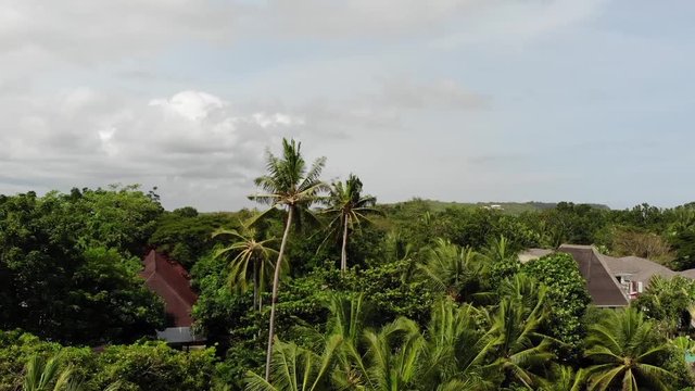Drone shot of a tropical forest in Asia with palm trees and resorts.