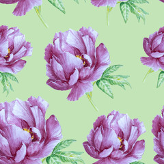 pattern with amazing peony