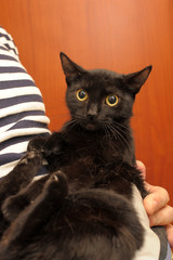 black cat in her arms with a dazed look