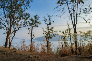 sunrise at Phu Thok, beautiful dry trees branches with sea of mist and mountain background, Chiang Khan District, Loei, Thailand.
