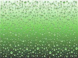 Realistic water drops on a plain glass, vector illustration