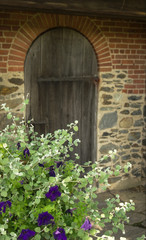 Colorful Foliage in Front of Ancient Door