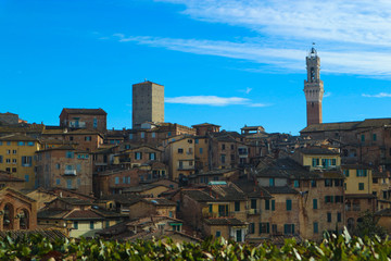 Fantastic panorama of Siena old town with Mangia tower (torre del Mangia) in winter sunny morning with bright blue sky, Tuscany, Italy