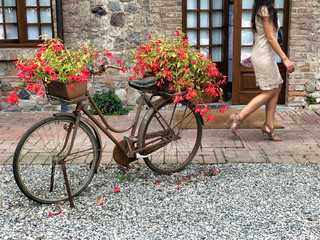 Fototapeta na wymiar old bicycle as flowerpot decorating a country courtyard