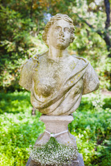 Fototapeta premium a bust sculpture in the old park