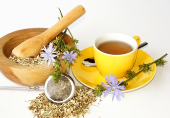 Wegwarte Tee, Naturheilkunde, Bitterstoffe