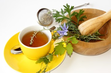 Wegwarte, Wermut und Schöllkraut, Kräutertee