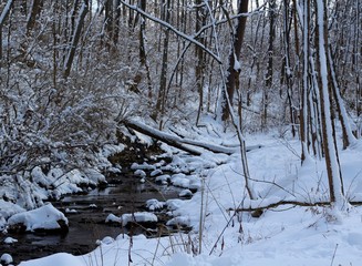A flowing creek in the snow covered forest on a cold day.