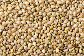 Closeup of Cannabis Hemp seeds. top view textured background