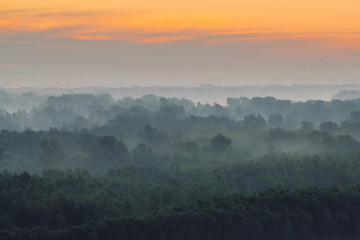 Mystical view from top on forest under haze at early morning. Mist among layers from tree silhouettes in taiga under predawn sky. Calm morning atmospheric minimalistic landscape of majestic nature.