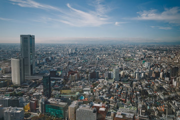 Fototapeta na wymiar Bird's eye beautiful city view from a Tokio skyscraper. Japan.