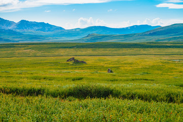 Fototapeta premium Spectacular view of giant mountains under cloudy sky. Huge rocks at overcast weather. Wonderful wild scenery. Atmospheric landscape of highland nature. Scenic mountainscape. Rich mountain flora.