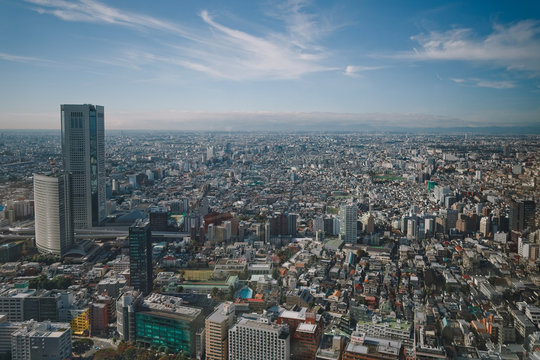 Bird's eye beautiful city view from a Tokio skyscraper. Japan. © Irina Polonina