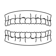 human teeth isolated icon