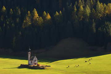 Santa Maddalena village, Dolomites, Val di Funes, Italy, Europe