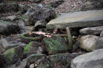 stream in forest
