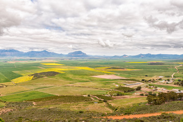 Farm landscape seen from the Piekenierskloof Pass