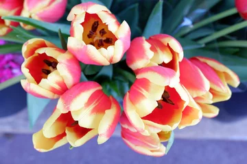 Crédence de cuisine en verre imprimé Fleuriste bouquet de tulipes
