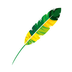 feather exotic colors icon