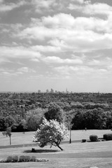 london city from alexandra palace