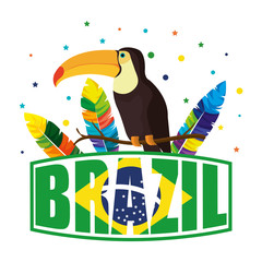 toucan exotic bird with brazilian label
