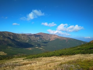 Beautiful sunny summer day in the mountains.