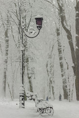 The path with a lantern in the winter park