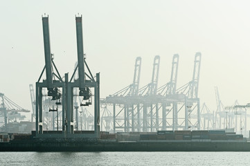 Kräne im Hamburger Hafen