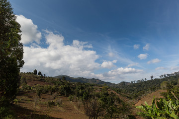 Obraz premium Die Usamabaraberge - Tansania 