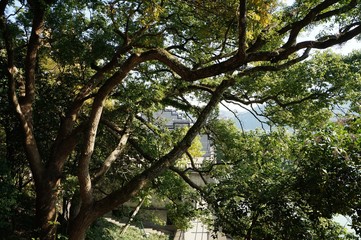 Ancestral home of the former President of the Republic of China Chiang Kai Shek