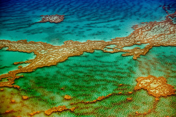 Fototapeta na wymiar Aerial overhead view of amazing coral reef, Queensland, Australia