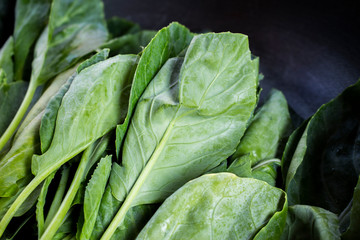 Chinese kale vegetable closeup