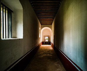 Fototapeta premium biegacz