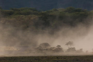 Tarangire Nationalpark – Tansania - Afrika