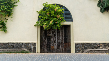 Fototapeta na wymiar Gate To The Courtyard With A Large Green Bush And Palms