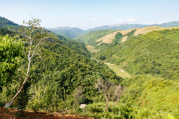Fototapeta na wymiar jungle on the mountainside, beautiful landscape, Laos