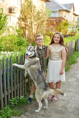 Naklejka na ściany i meble boy with dog husky walks on nature in summer