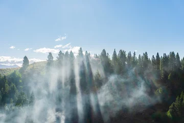 Crédence de cuisine en verre imprimé Forêt dans le brouillard Smoke  in the mountains