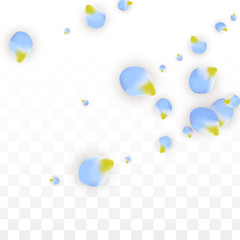 Vector Realistic Blue Petals Falling on Transparent Background.  Spring Romantic Flowers Illustration. Flying Petals. Sakura Spa Design. Blossom Confetti.