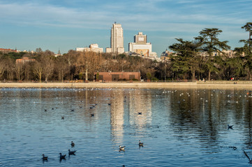 Vista del lago de la casa de campo con dos rascacielos al fondo en Madrid. España