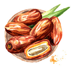 Date fruits. Top view. Watercolor hand drawn illustration, isolated on white background
