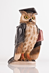 statuetta gufo idea magistrato