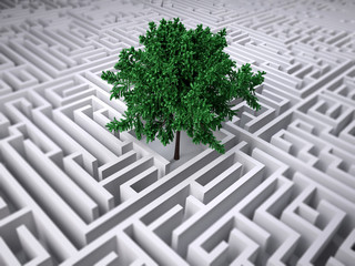 tree inside endless labyrinth