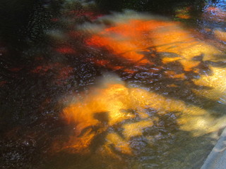 Manzanillo, Costa Rica