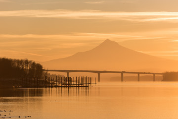Obraz premium Mt Hood and the Columbia River on an early golden light morning