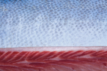 Macro Tuna Scales Wallpaper