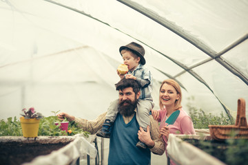 husbandry with happy family. happy family keep husbandry. husbandry with happy family in greenhouse. husbandry with happy family having farm business