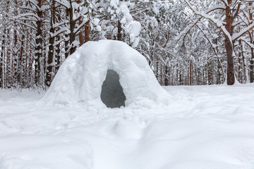 primitive snow shelter in a wild winter forest