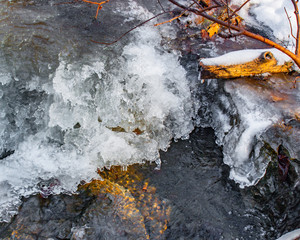 stream with flowing water, ice, leaves and twigs